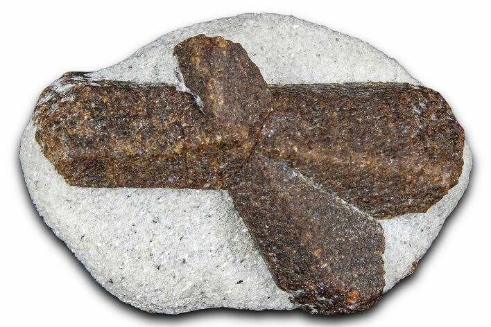 Twinned Staurolite Cross In Glittering Mica-Schist - Russia #380639
